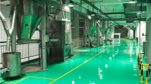 玫斯寵物食品江蘇科技工廠首次對外開放，引領行業高質量發展新篇章